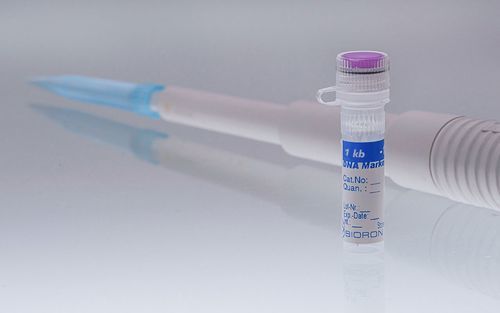 DNA ladder - 305020 - BIORON GmbH - laboratory / for electrophoresis / for DNA analysis