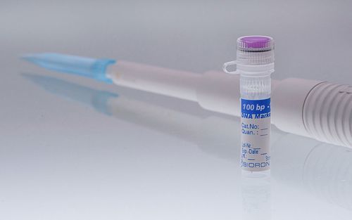 DNA ladder - 304120 - BIORON GmbH - for electrophoresis / diagnostic / for DNA analysis