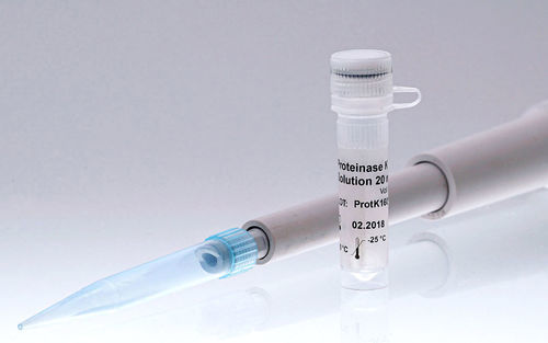 Enzyme reagent - 405102 - BIORON GmbH - solution / proteinase K / for microbiology
