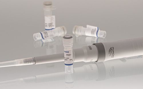 Enzyme reagent - 10211 series - BIORON GmbH - for RNA purification / for DNA cleanup / RNA Synthesis