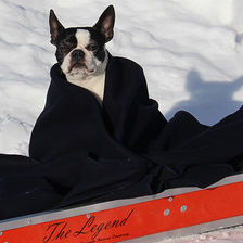 Warming blanket - CRC-TBA-WB - Cascade Rescue Company - rescue / wool / veterinary
