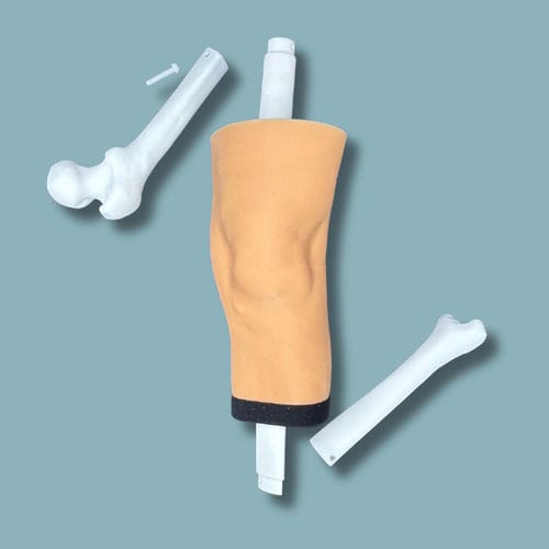 Knee model - 04-10-02 - ADDIDREAM - tibia / femur / surgery