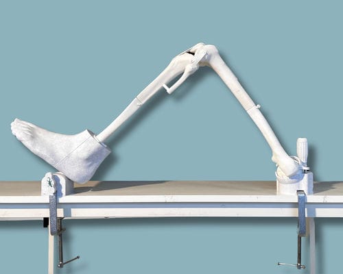 Knee model - 04-25-01 - ADDIDREAM - foot / orthopedic surgery / training