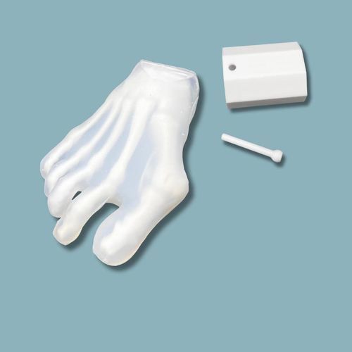 Anatomical model kit - 01-44-01 - ADDIDREAM - foot / plastic / transparent