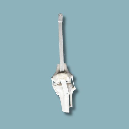 Knee model - 04-38-01 - ADDIDREAM - patella / tibia / femur