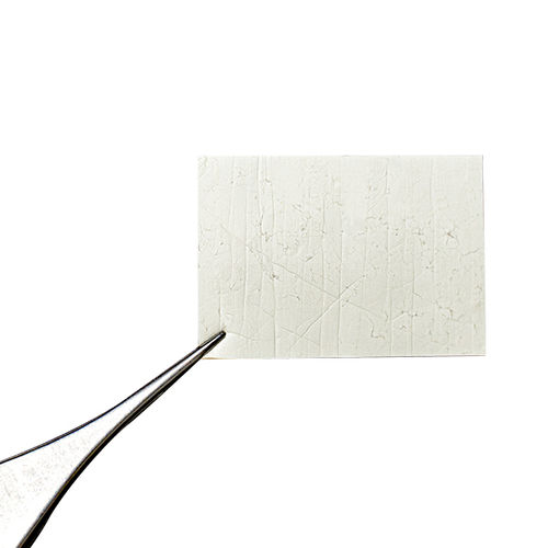 Buccal tissue matrix - AGM-R-010050 - Neo Modulus Medical Sci-Tech - PCL / absorbable