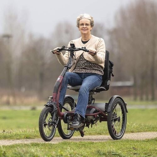 Crank-propelled adaptative tricycle - 392-0000 - Van Raam - adult / black / gray