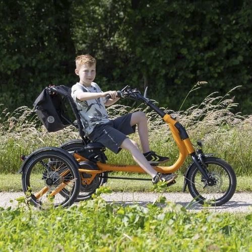 Crank-propelled adaptative tricycle - 392-0028 - Van Raam - pediatric / yellow