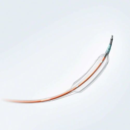 Support catheter - REVIVE MEDICAL TECHNOLOGIES INC. - coronary / balloon / drug eluting