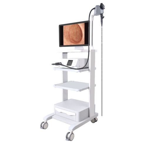 Video veterinary gastroscope - YSVET-GU160H - YSENMED - for cattle / for equines / for dogs