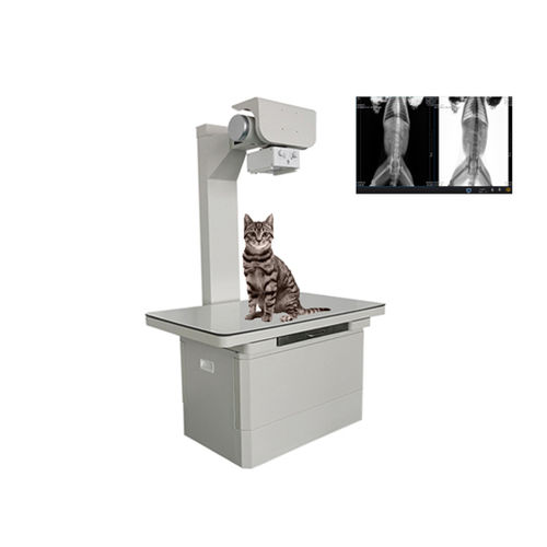 digital veterinary X-ray system - Shandong Newheek Image Equipment