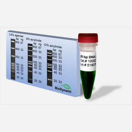 DNA ladder - 10002 series - BioDynami - for DNA quantification