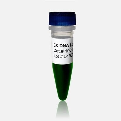 Loading buffer reagent - 10010 series - BioDynami - dye / RT-qPCR