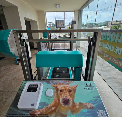 Underwater veterinary treadmill - Hidromaq Tecnologias Eireli - for dogs