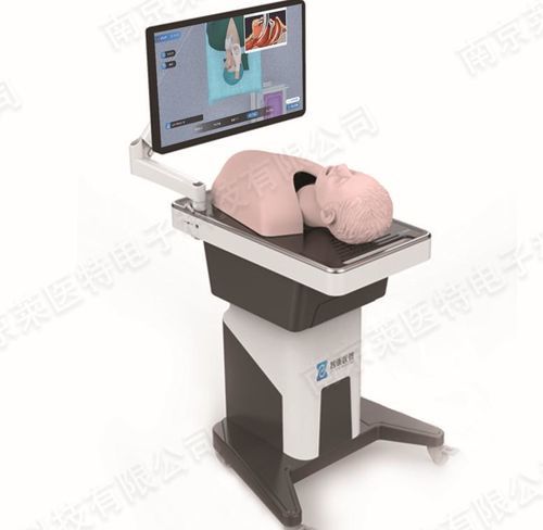 Health education training manikin - Nanjing Laiyite Electronic Technology Co., Ltd - intubation / for intubation / adult