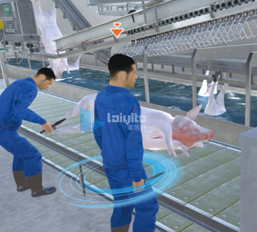 Simulation software - Nanjing Laiyite Electronic Technology Co., Ltd - training / veterinary / virtual reality
