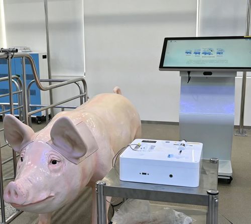 Veterinary simulator - Nanjing Laiyite Electronic Technology Co., Ltd - intramuscular injection / intravenous injection / blood collection