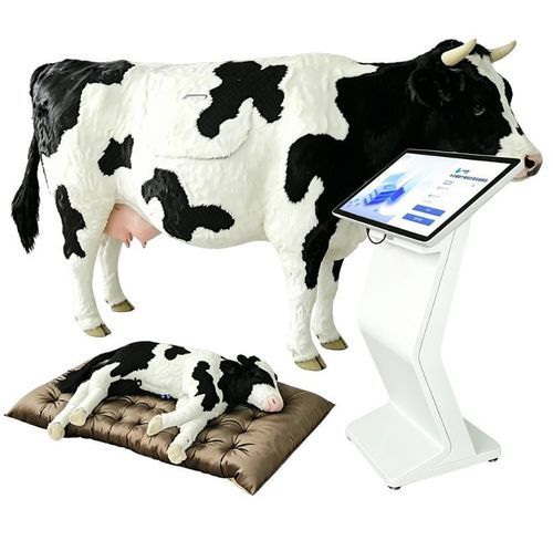 Veterinary simulator - Nanjing Laiyite Electronic Technology Co., Ltd - delivery / training / cattle