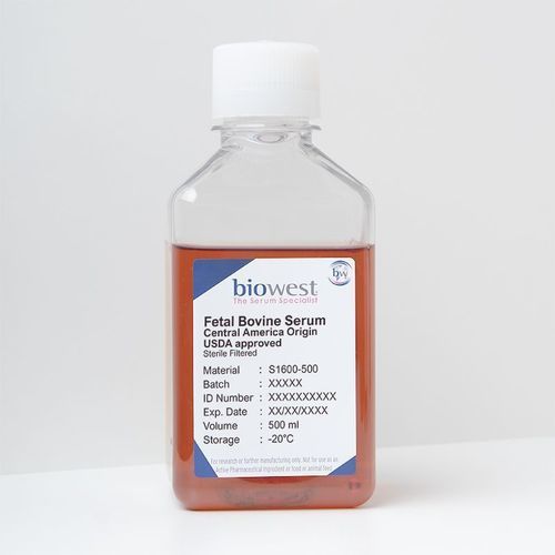 Fetal bovine serum reagent - S1600 series - Biowest - serum / for research / for production