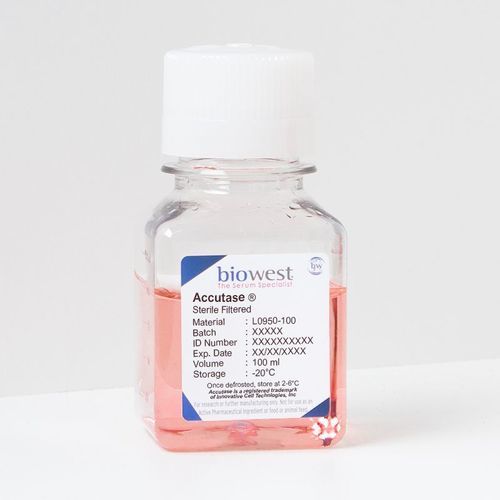 Solution reagent - Accutase® - Biowest - enzyme / for cell culture / for cell counting