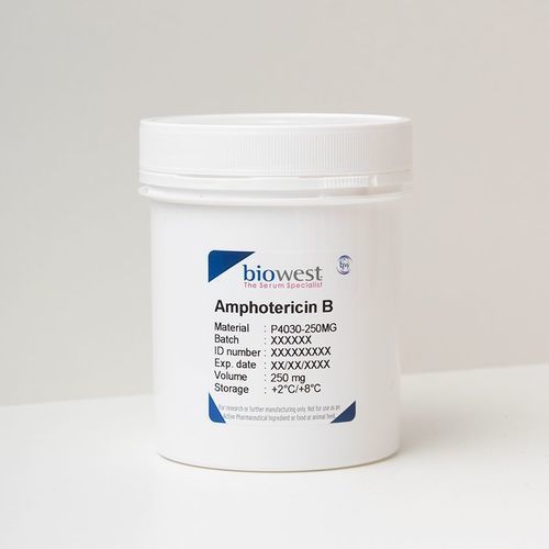 Antifungal reagent - P4030 - Biowest - amphotericin B / for cell culture / for tissue culture