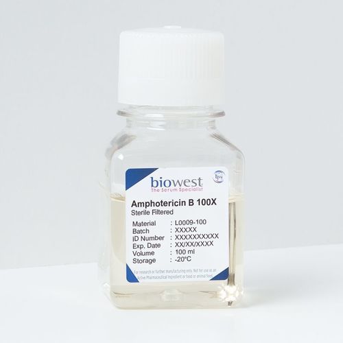 Amphotericin B reagent - L0009 series - Biowest - antifungal / solution / for production