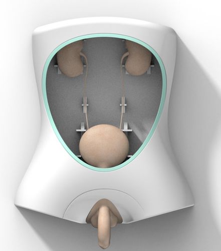 General care training manikin - US-M001 - Yunes Medical Technology Limited - endoscopy / infusion / male