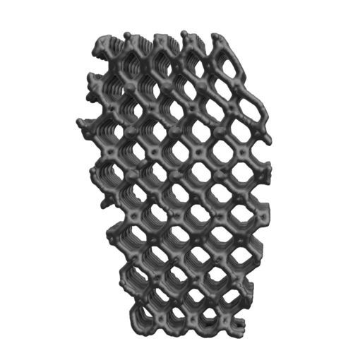 Porous TTA Wedge - 01.068 - Biosurgex - titanium / for dogs