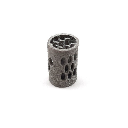Cervical veterinary interbody spacer - 02.1620B - Biosurgex - titanium