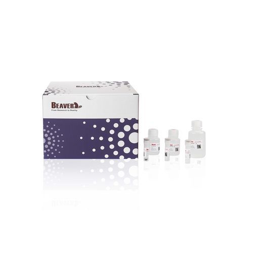 Antibody - Mag - Alta DiagnoTech - IgG / magnetic bead-based / for biological samples