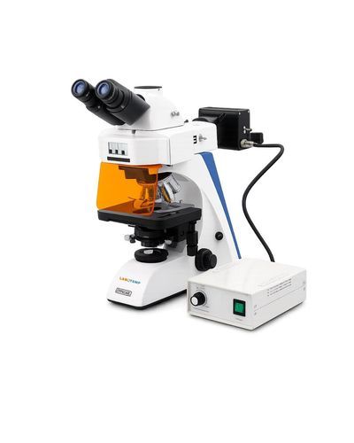Compound microscope - LFM-01 - Labotemp Systems - clinical / for biology / laboratory