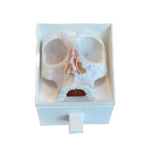 Surgery phantom - 3D Innovation Lab - surgical / for general care / training