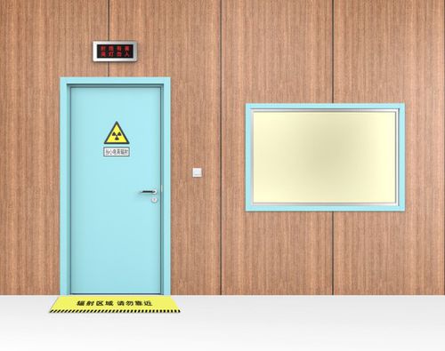 Protection door - Shandong Hongxinyu Medical Technology Co., Ltd. - radiation protection / service / security