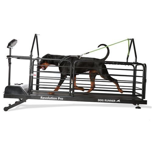 Dry veterinary treadmill - Revolution Pro - DOG RUNNER - for dogs / with adjustable speed / inclined