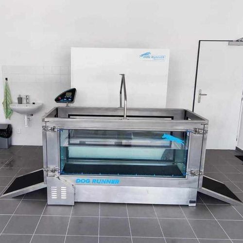 Underwater veterinary treadmill - Aqua Runner - DOG RUNNER - hydrotherapy / for dogs / with non-slip surface