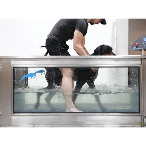 Underwater veterinary treadmill - Aqua Runner - DOG RUNNER - hydrotherapy / for dogs / with non-slip surface