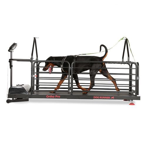 Dry veterinary treadmill - Ortho Pro - DOG RUNNER - for dogs / with non-slip surface / with adjustable speed