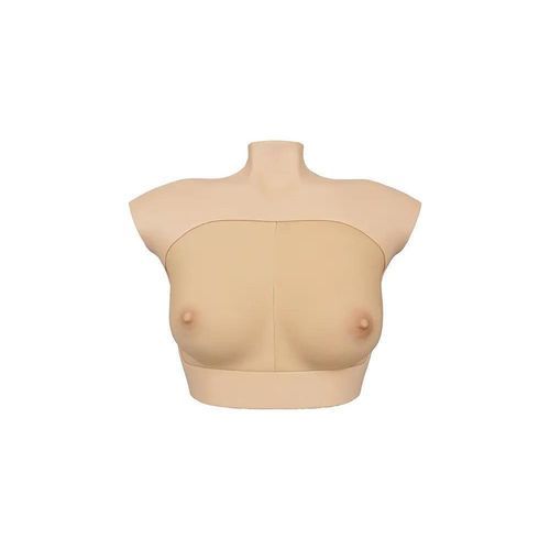 Mammary gland model - BR-B series - SurgMate - breast / breast / training