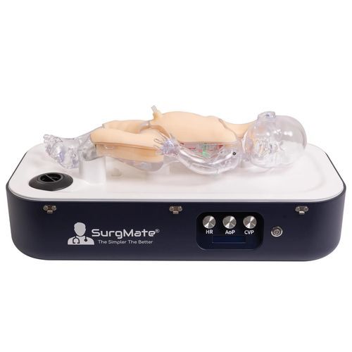 Maternal/neonatal care patient simulator - NeoPeds - SurgMate - for pediatric care / for ECMO / for ultrasound imaging