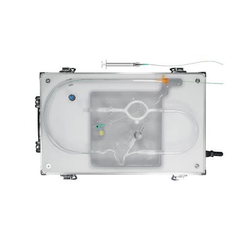 Neurosurgery simulator - AVM-B01 - SurgMate - training / for brain embolization / for neurovascular intervention