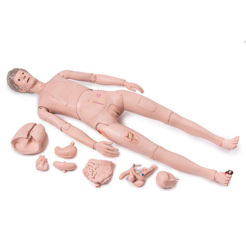 General care training manikin - P10/1 - 3B Scientific   - adult