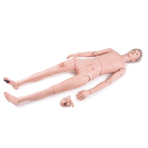 General care training manikin - P11/1  - 3B Scientific   - adult