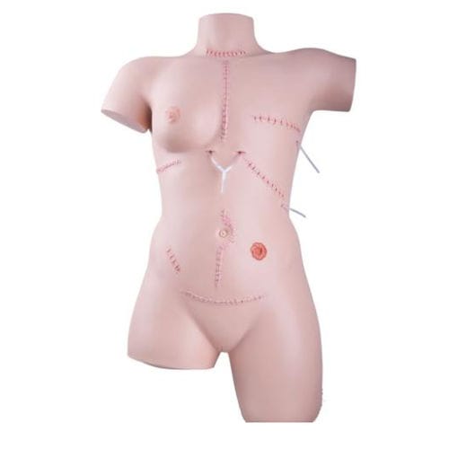 Wound closure surgery simulator - P100 - 3B Scientific   - surgery / torso