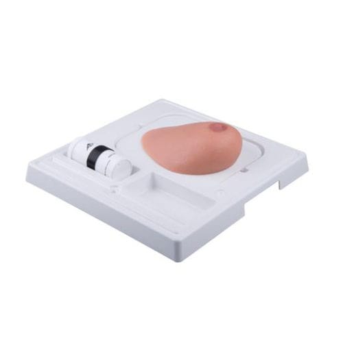 Ultrasound imaging simulator - P125 - 3B Scientific   - for teaching / for clinical care / for tumors