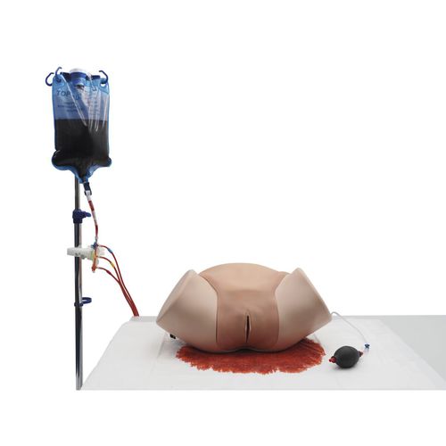 Training simulator - P97P - 3B Scientific   - obstetrical/gynecological / trauma / woman