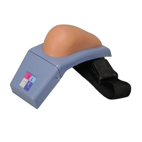 Intramuscular injection simulator - P55/1 - 3B Scientific   - training / palpation / for clinical care