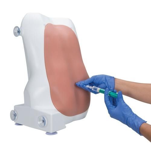 Epidural anesthesia simulator - P61 - 3B Scientific   - for clinical care / torso / haptic