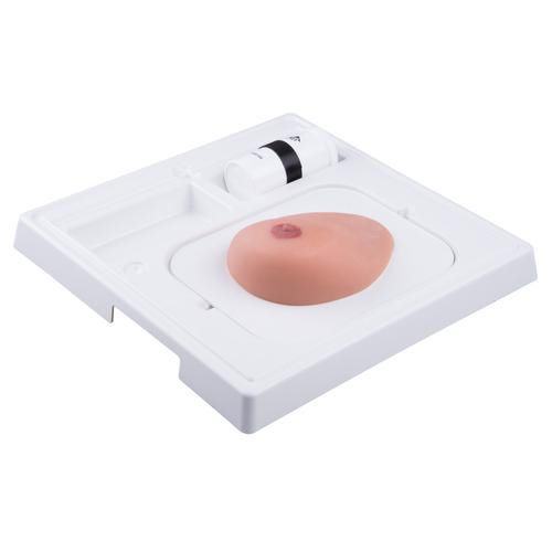Teaching simulator - P124 - 3B Scientific   - for ultrasound imaging / for clinical care / breast