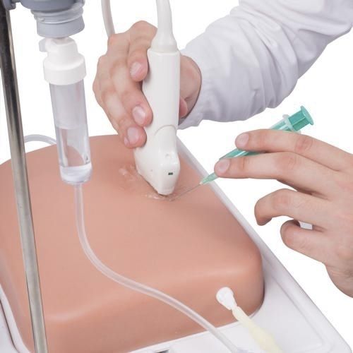 Ultrasound imaging simulator - P120 - 3B Scientific   - for teaching / injection / palpation