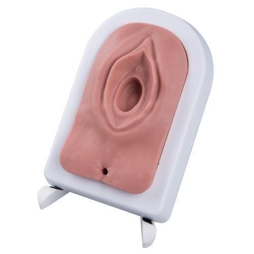 Demonstration simulator - P95 - 3B Scientific   - suture / surgery / obstetrical/gynecological